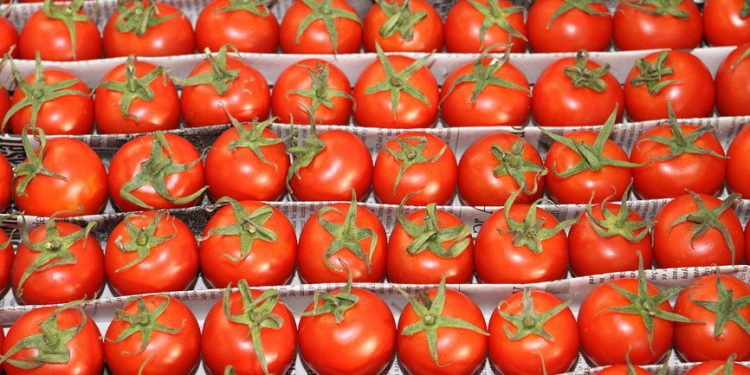 Ученые выяснили, полезны ли органические продукты
