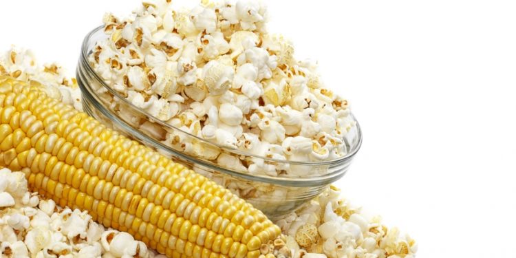 Почему продукты с антиоксидантами вредные