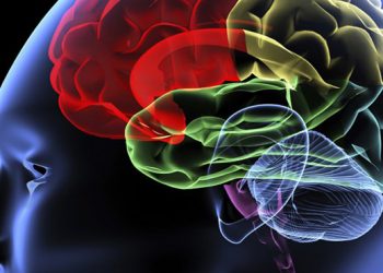 Ученые сообщили, как возникает чувство разочарования