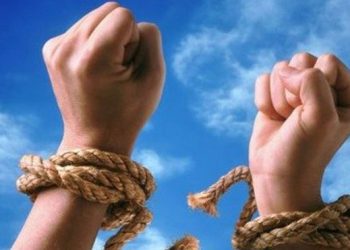 Стало известно, почему полезно мечтать