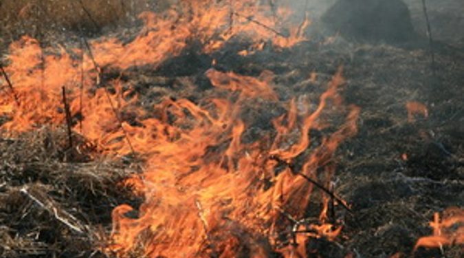 В Луганской области из-за поджога сгорело 470 тонн сена