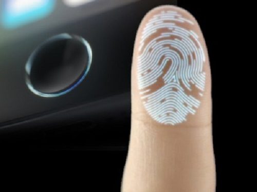 Apple планирует оснастит датчиком Touch ID MacBook, iMac и Magic Mouse