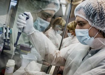 Американские ученые предложили вырабатывать витамин А непосредственно в кишечнике человека