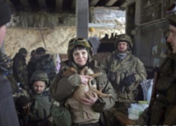 В плен к украинским солдатам попали семь боевиков батальона «Восток»