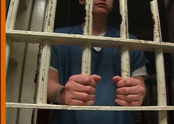 СМИ: В Николаеве поймали журналиста-предателя