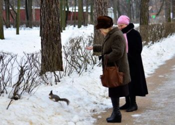Ученые: восхищение природой имеет лечебный эффект