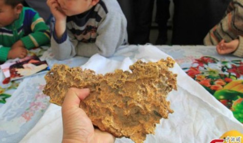 Китайский пастух нашел дорогой золотой самородок
