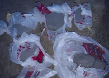 Правоохранители предотвратили теракт в Херсоне