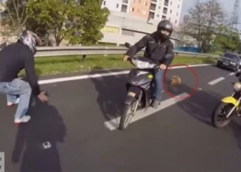 В сети появилось видео, на котором бразильские байкеры спасают собаку
