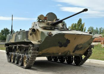 В Донецкой области под колесами БМД погибла маленькая девочка