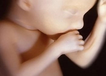 Ученые: женские эмбрионы погибают чаще