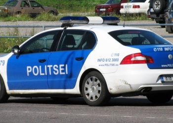 В Эстонии полиция предложила мужчине самому задержать вора