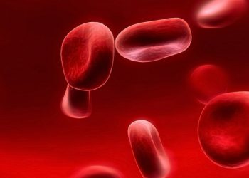 Ученым удалось вырастить клетки крови в лаборатории