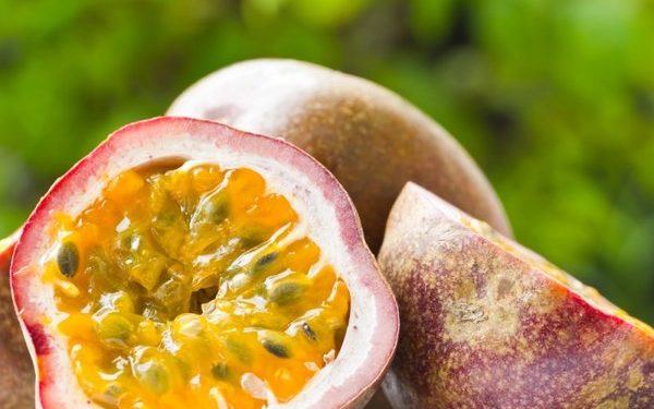 Эксперты рассказали, какой фрукт защищает организм от рака