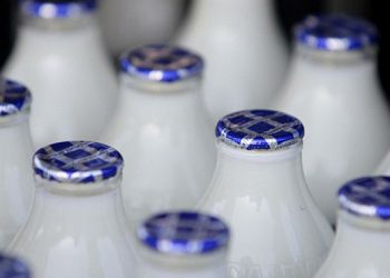 Эксперты: сырое молоко пить нельзя
