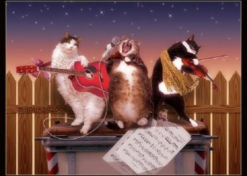 Ученые создали специальную музыку для кошек