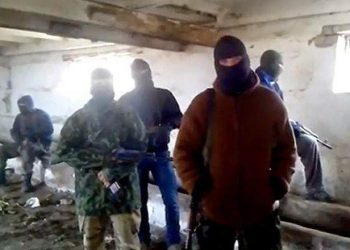 Партизаны «Тени» уничтожили 18 «Уралов», 4 бензовоза и Камазы боевиков
