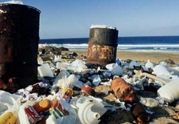 Ученые заявили, что биоразлагаемый пластик на самом деле почти не разлагается