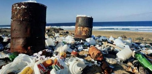 Ученые заявили, что биоразлагаемый пластик на самом деле почти не разлагается
