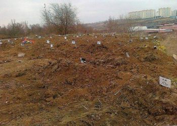 Под Ростовом обнаружено такое большое захоронение солдат ВС РФ, что его видно на «Гугл Земля»