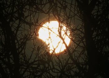 Сегодня россияне увидят «черное» Солнце