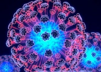 Специалисты учатся омолаживать стволовые клетки людей