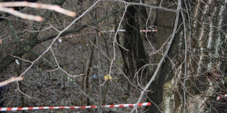 В Луганской области в лесополосе раскопали два тела