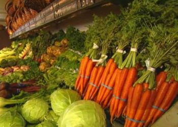 Эксперты выяснили, можно ли стать полувегетарианцем
