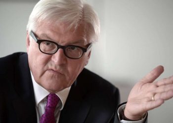 МИД Германии не считает поставки оружия панацеей для Украины