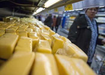 Жительница шведского города Бари рассказала журналистам о своей панической боязни сыра