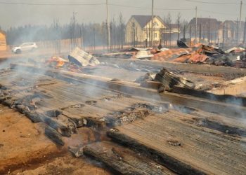 Пожары в Забайкалье вышли из-под контроля: пламя перекинулось на Монголию
