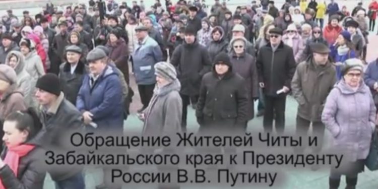 Жители Читы обратились к Путину: «Пока РФ воюет с Украиной, у нас бродячие собаки загрызают детей!"