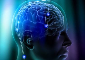 Стало известно, что влияет на успешность обучения человека
