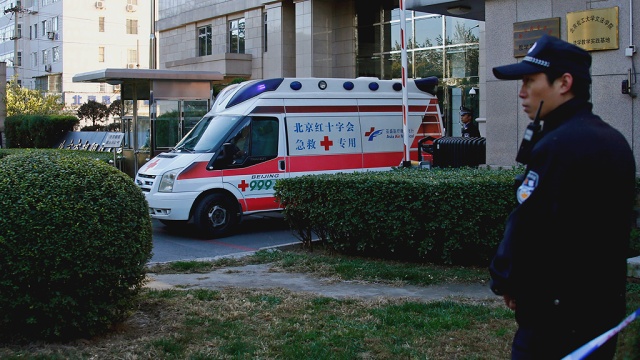 В Китае на празднике цветов погибли два человека