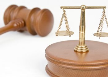 Парламент Дании официально запретил скотоложство