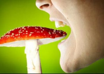 Эксперты: профилактика рака может быть опасной