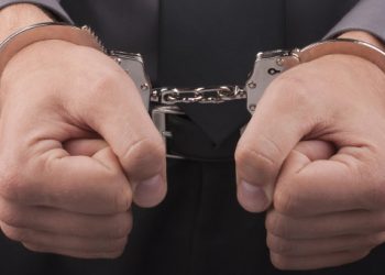 СМИ: В полиции остаются 17 человек, праздновавших день рождения Гитлера