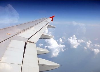 Житель Индонезии пролетел зайцем больше 1000 километров