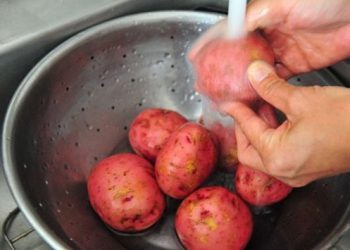 Ученые: красный картофель защитить от гипертонии
