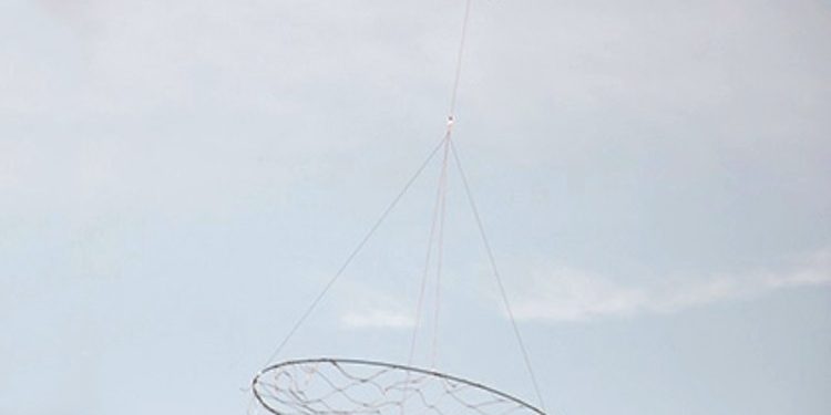 Новые технологии борьбы беспилотников с беспилотниками испытали в Южной Корее