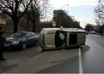 В Киеве кот стал виновником аварии