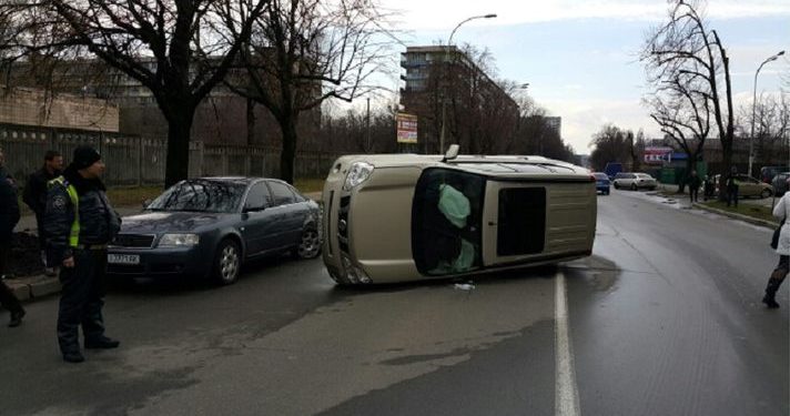 В Киеве кот стал виновником аварии