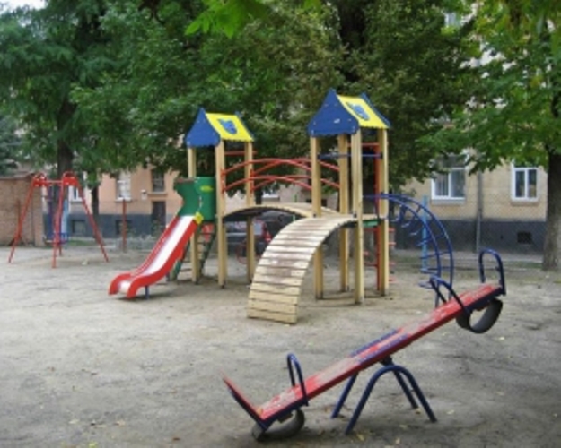 СМИ: Во Львове в патрульную службу записались уже 400 человек