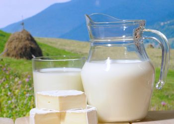 Ученые: натуральное молоко вредно для детей