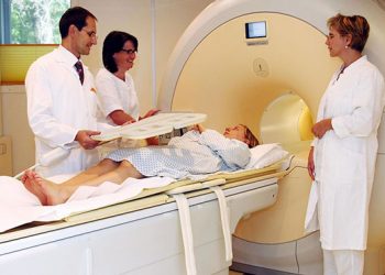 Обнаружены участки мозга, влияющие на быстроту обучения