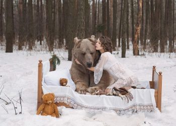 В РФ девушки снялись в откровенной фотосессии с медведем