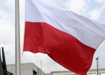 Польша перестроила свою экономику до вступления в ЕС, - посол Литвин
