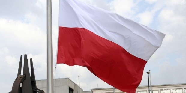 Польша перестроила свою экономику до вступления в ЕС, - посол Литвин