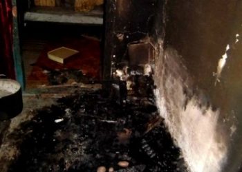 В Киевской области от пожара погибли трое детей