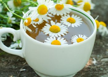 Медики рассказали о пользе ромашкового чая